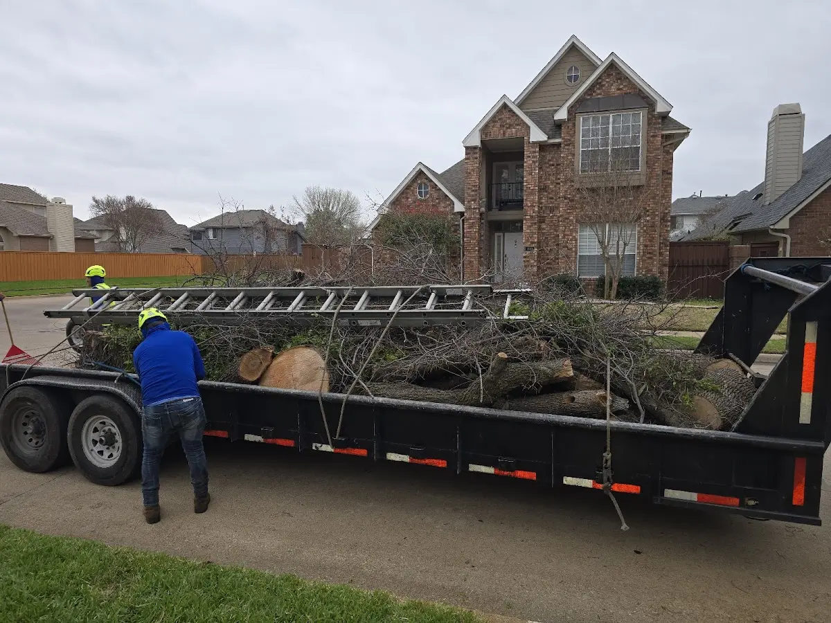 Expert Lot Clearing with proper safety equipment in Clarissa